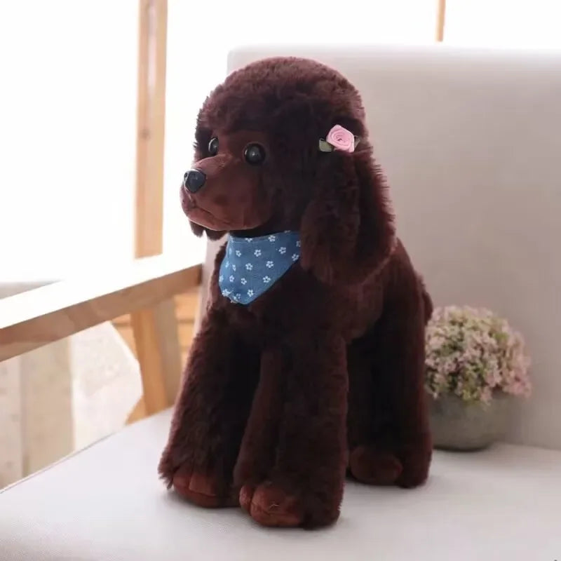chien mignon